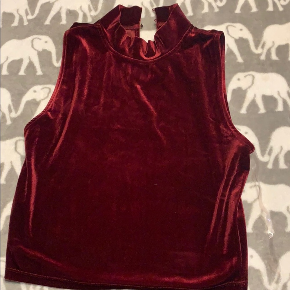 Velvet crop top